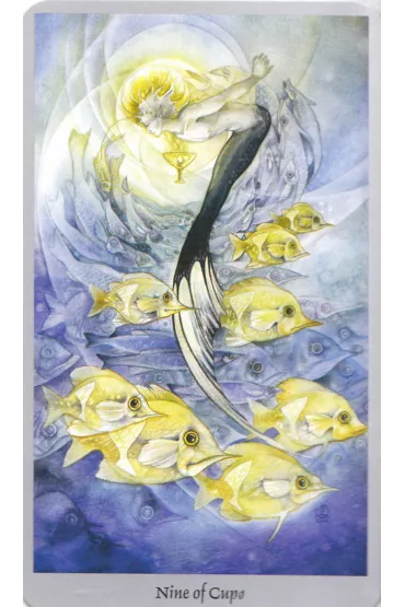Shadowscapes Tarot, zestaw kart do wr�enia i ksi��ka - Barbara Moore, Stephanie Pui-Mun Law