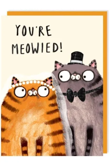 Karnet 298 �lub Koty You're MEOWIED!