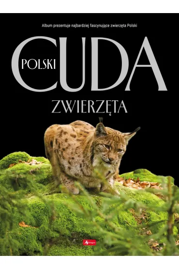 Cuda Polski. Zwierz�ta - �ukasz Przyby�owicz