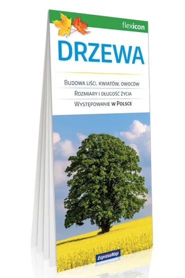 Drzewa. ExpressMap