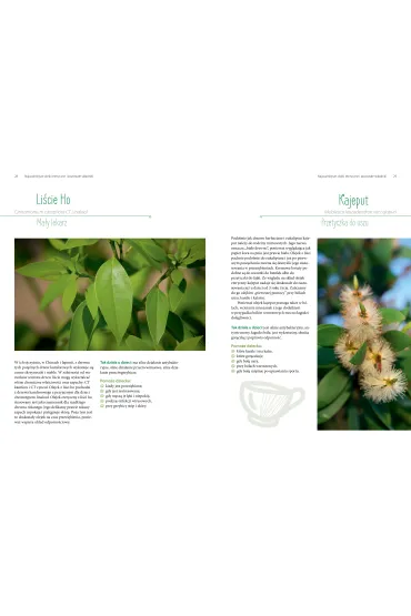Aromaterapia dla dzieci. Naturalna i szybka pomoc w codziennych sytuacjach - Eliane Zimmermann, Sabrina  Herber