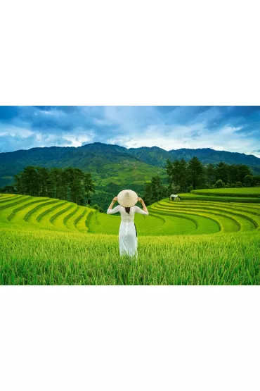 Puzzle 1000 el. Rice Fields in Vietnam Castorland
