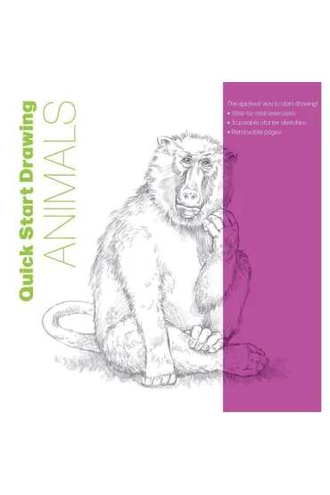 Quick Start Drawing Animals - Walter  Team