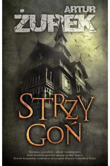 Strzygo. Henryk Zamroz. Tom 1 - Artur urek