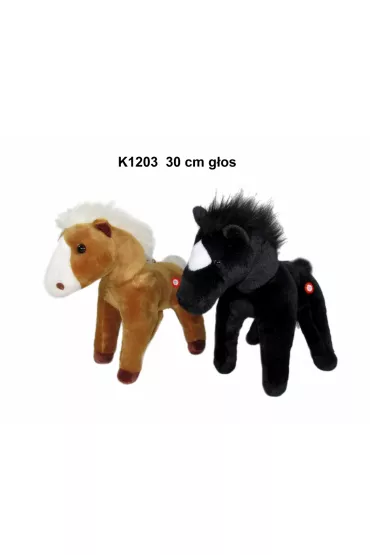 Ko� z g�osem 20cm MIX Sun-Day