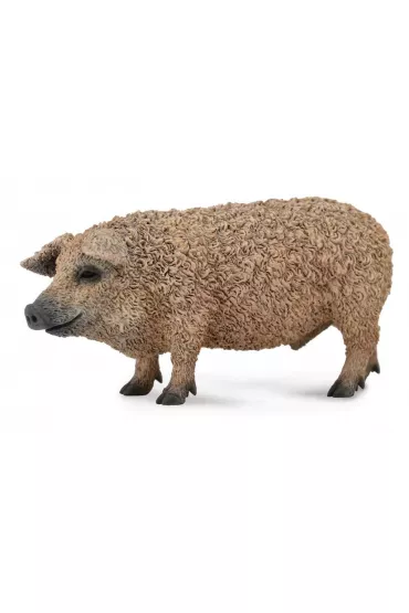 �winia w�gierska Mangalica