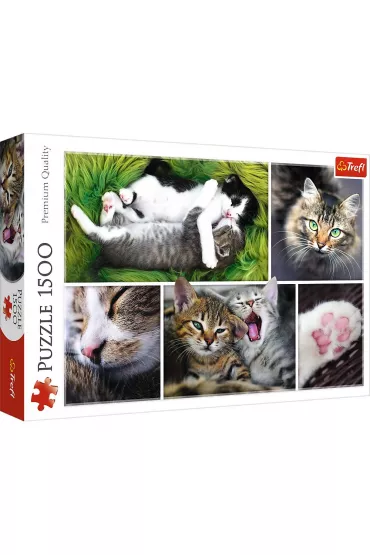 Puzzle 1500 el. Kocie sprawy kola� Trefl
