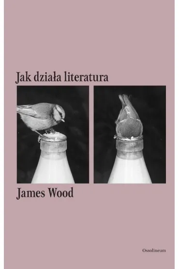 Jak dzia�a literatura - James Wood