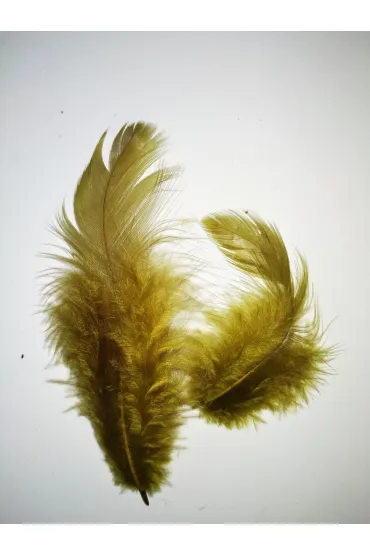 Pi�rka 10g