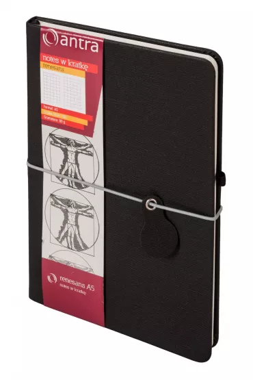 Antra Notes A5 Renesans kratka 192 kartki