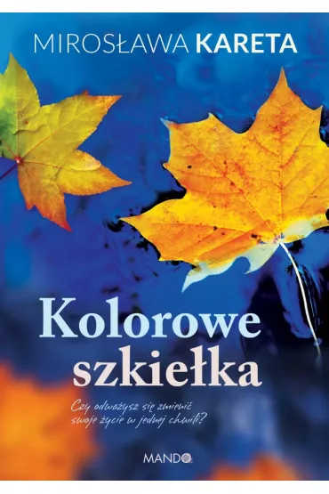 Kolorowe szkieka - Mirosawa Kareta