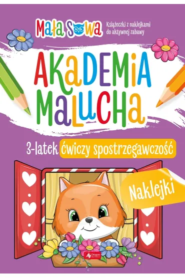 3 latek �wiczy spostrzegawczo��. Akademia malucha