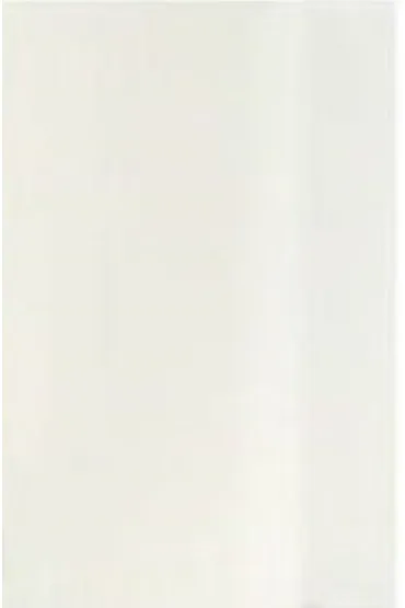 Polsyr Torebka ozdobna C1 21 x 30 cm