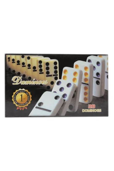 Domino Icom Polska