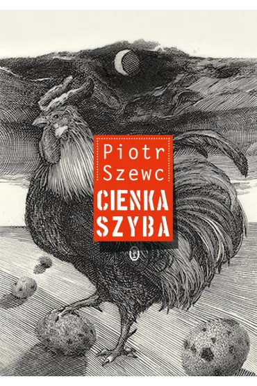 Cienka szyba - Piotr Szewc