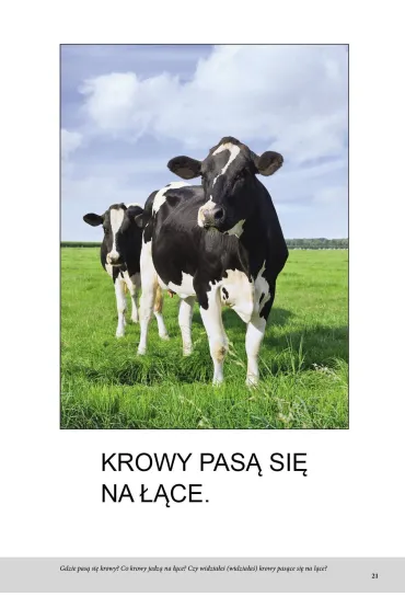Wie�. Bardzo proste czytanki dla dzieci