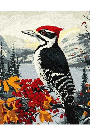Ideyka Malowanie po numerach - Dzi�cio� na ga��zi 40x50cm