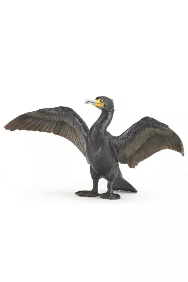 Kormoran