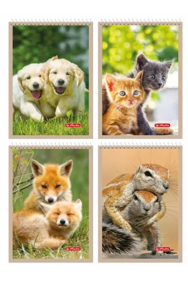 Ko�ozeszyt A6/40k kratka Animals HERLITZ 400198701