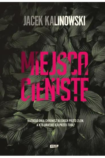 Miejsca cieniste - Jacek Kalinowski
