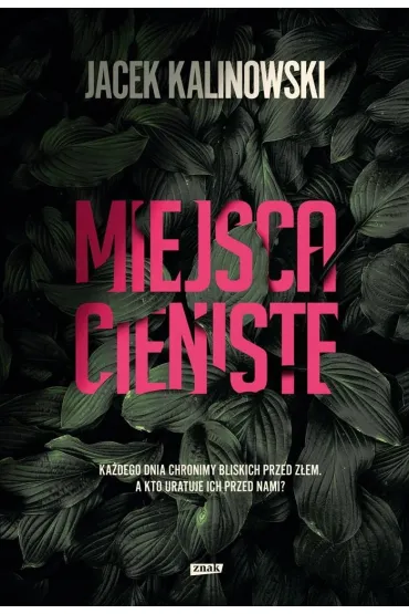 Miejsca cieniste - Jacek Kalinowski