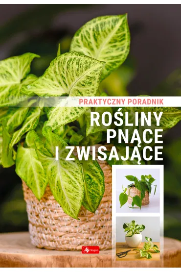 Ro�liny pn�ce i zwisaj�ce. Poradnik praktyczny