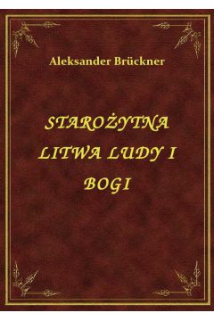 eBook Staroytna Litwa Ludy I Bogi epub