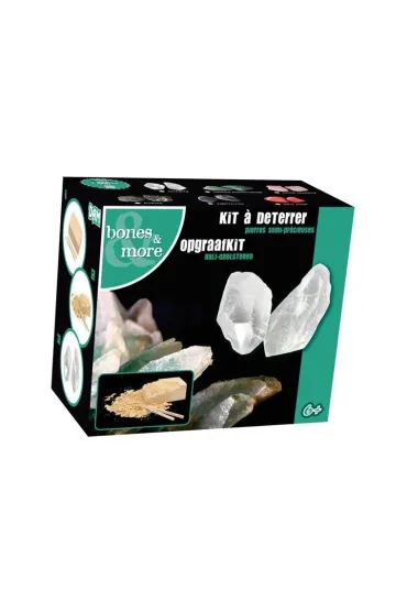 Du�a figurka dinozaura - wykopalisko odcisk MIX