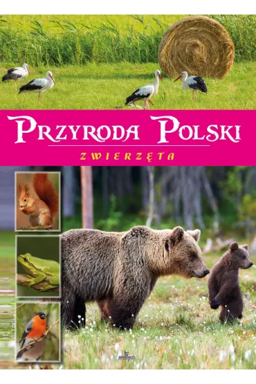 Przyroda Polski. Zwierz�ta - �aneta  Zaj�c