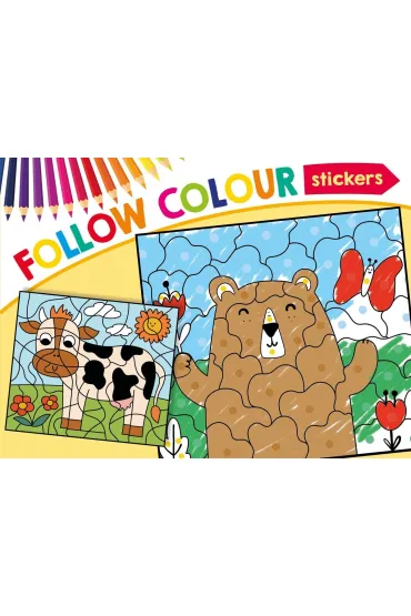 Follow Colour 9