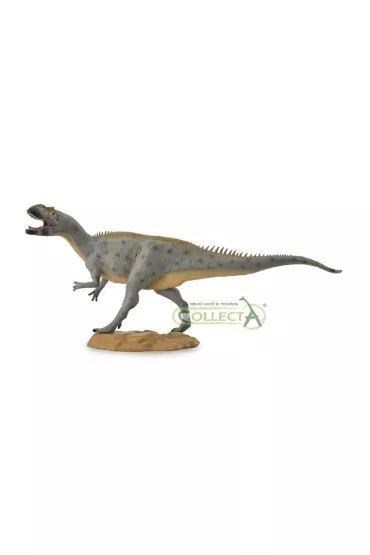 Collecta Metriakantoz *