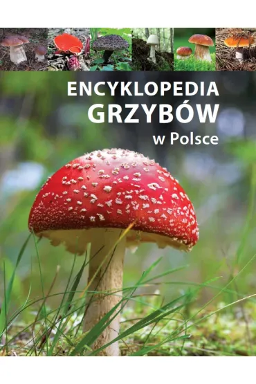 Encyklopedia grzyb�w w Polsce
