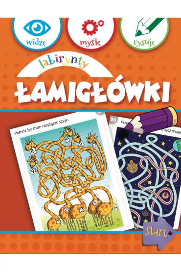 eBook Labirynty. �amig��wki pdf