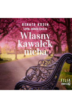 Audiobook Wasny kawaek nieba mp3