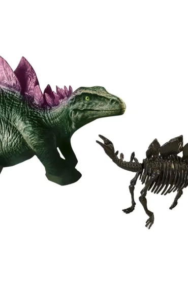 Skamielina dinozaura  2w1 Stegozaur Ses Creative