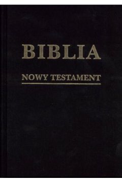 Biblia w zarysie. Nowy Testament ptno