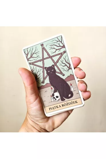 Tarot: Koty rzdz wiatem. Karty + przewodnik - Catherine Davidson