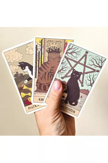 Tarot: Koty rzdz wiatem. Karty + przewodnik - Catherine Davidson