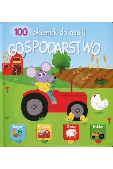 100 okienek gospodarstwo