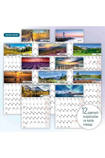 Opress Kalendarz biurkowy 2026 A5 miesi�czny
