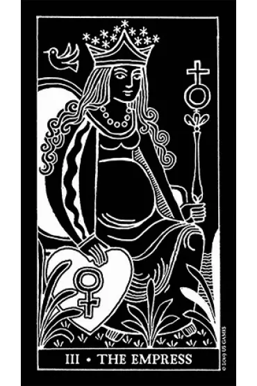 Inversion Tarot, karty w metalowym pude�ku - Jody  Boginski Barbessi