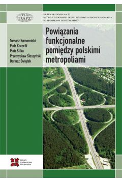 eBook Powizania funkcjonalne pomidzy polskimi metropoliami pdf