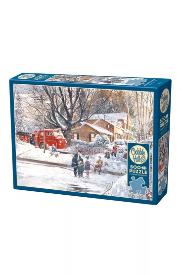 Puzzle 500 el. Przygotowania do meczu Cobble Hill - Douglas Laird