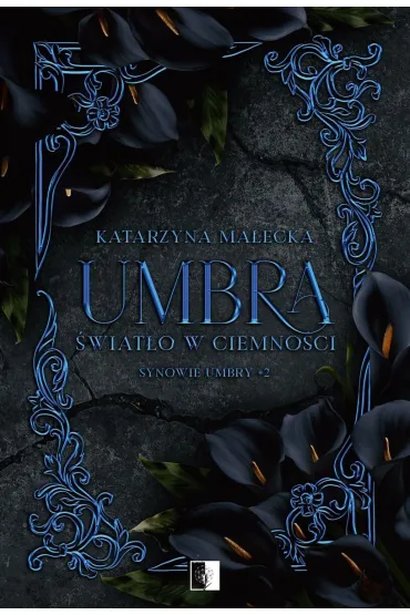 Umbra. �wiat�o w ciemno�ci. Seria Synowie Umbry. Tom 2 - Katarzyna Ma�ecka