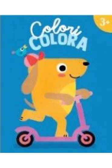 Colori Colora 3+ Piesek