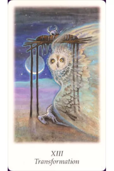 Karty Tarot Vision Quest GB