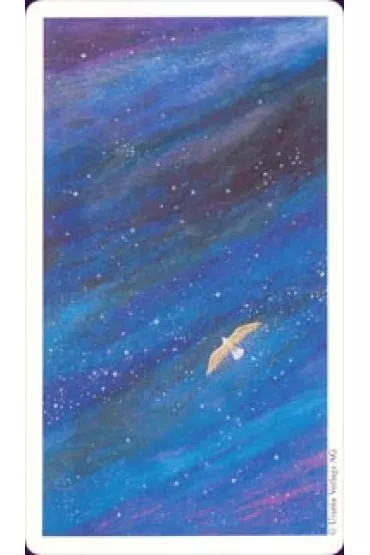 Karty Tarot Vision Quest GB
