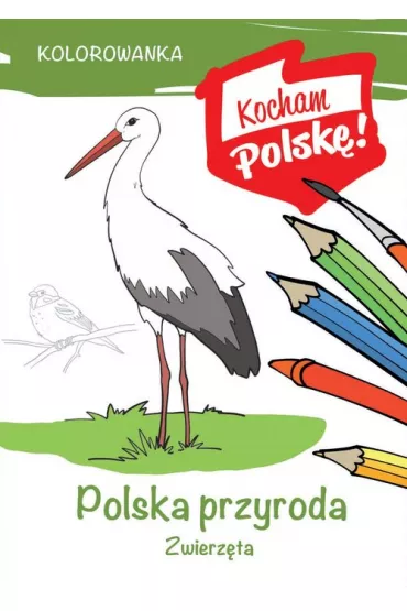 Polska przyroda zwierz�ta. Kolorowanka - Krzysztof Kie�basi�ski
