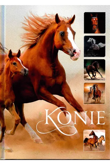 Konie - Ewa Walkowicz
