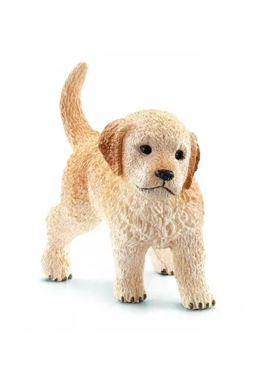 Szczeni� Golden Retriever